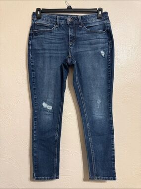 Time and Tru Indigo Skinny Jeans with Light Distressing